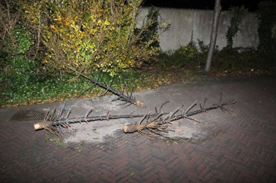 Kerstboombranden Noordwijk